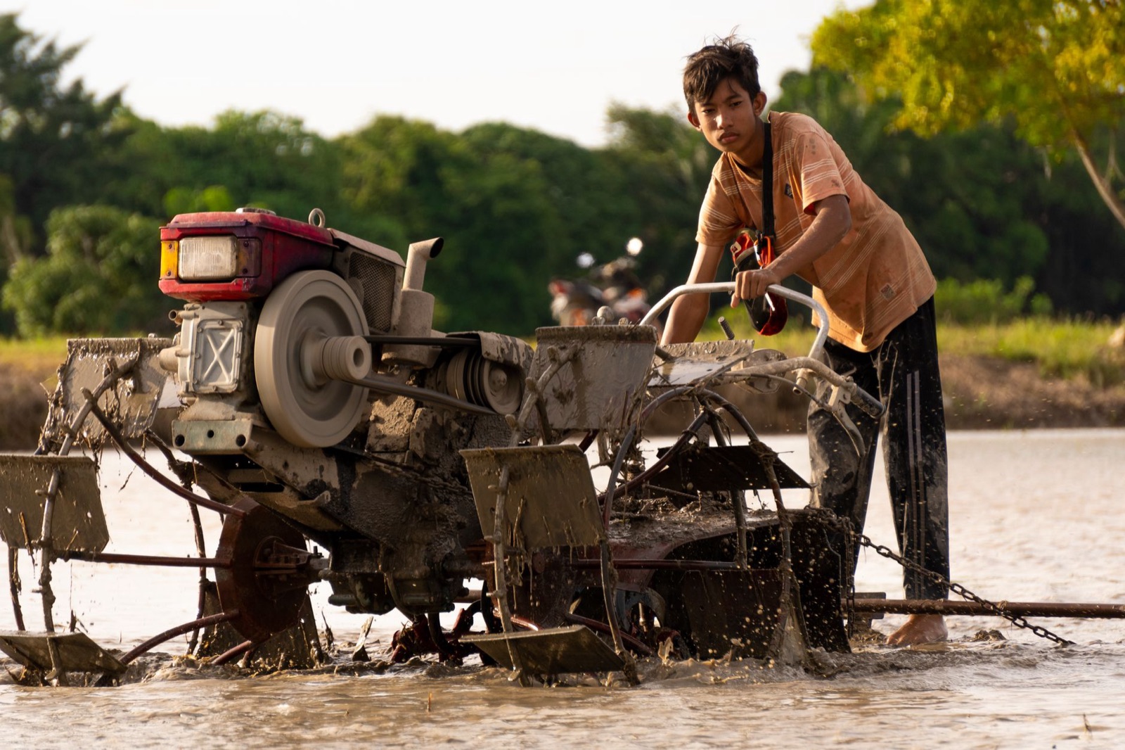 Location motoculteur et motobineuse : prix et forfaits