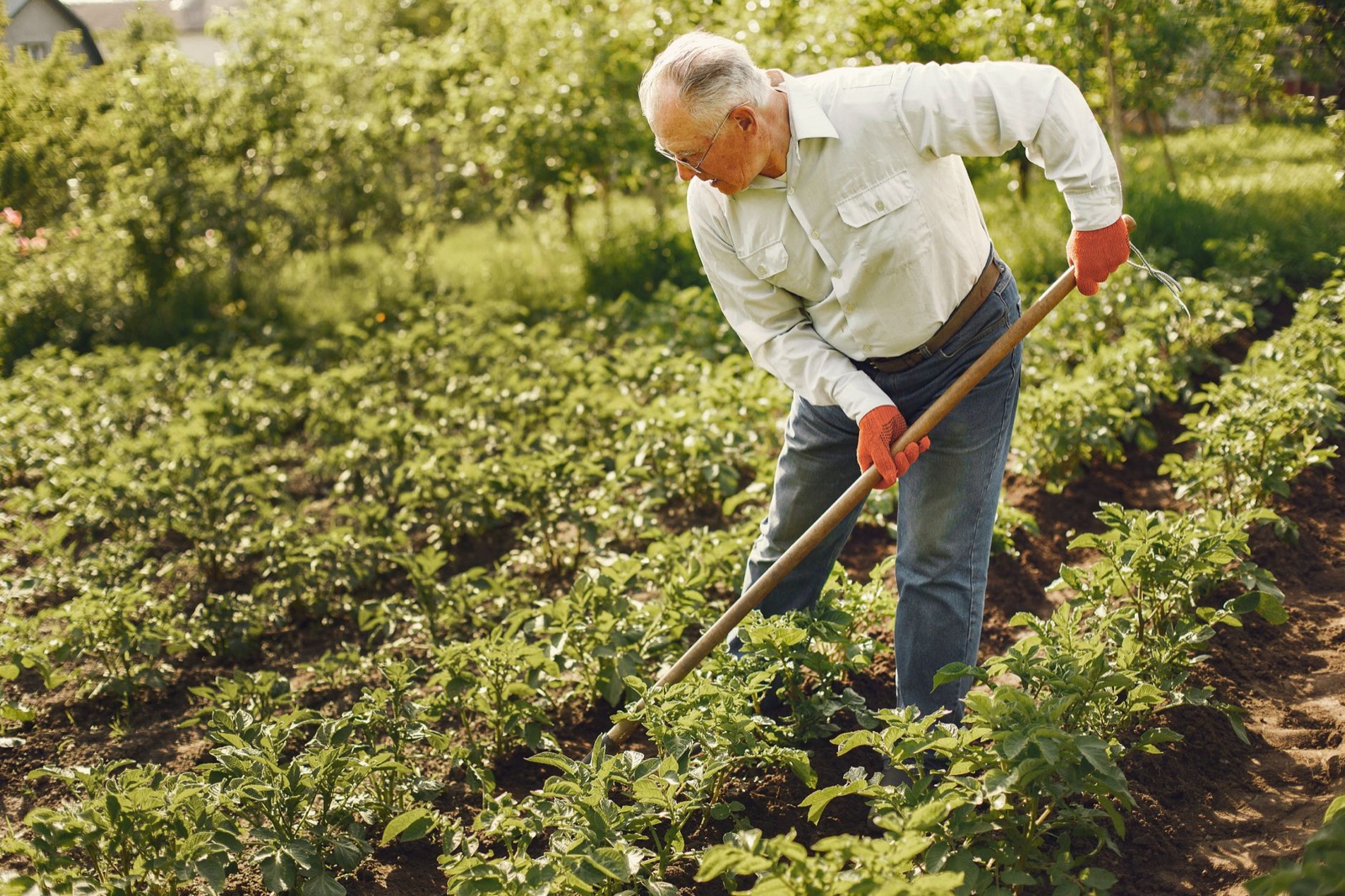 Tarif d&rsquo;un jardinier : prix horaire et crédit d&rsquo;impôt