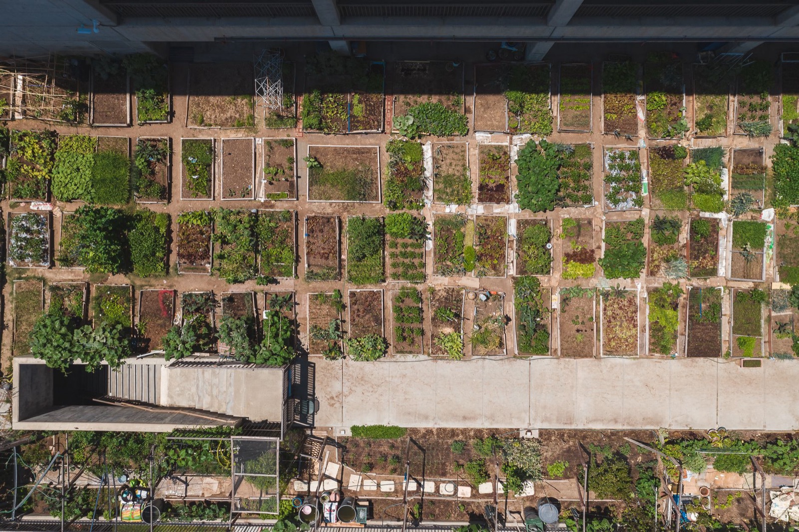 Aperçu du plan de potager produit par l’outil