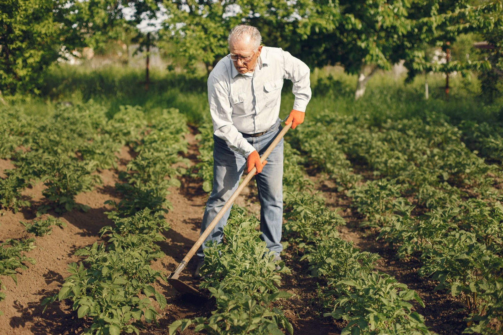 Chantier de création d’un potager avec un professionnel