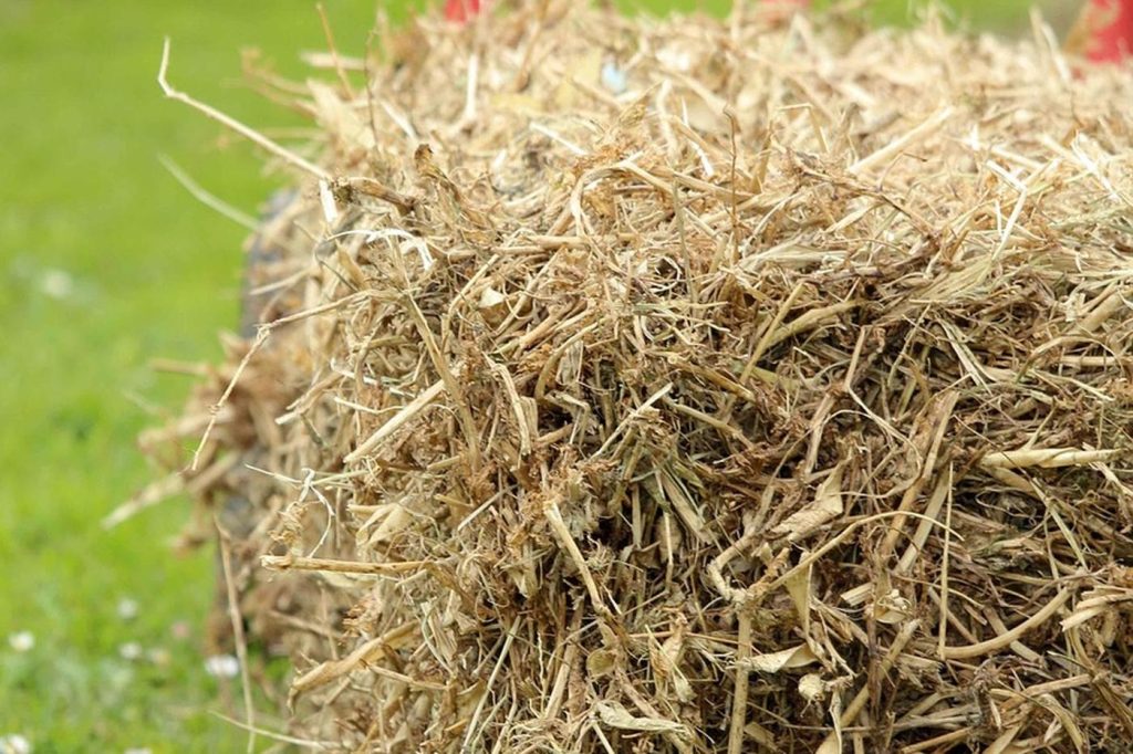 Le paillage : un allié précieux pour votre jardin