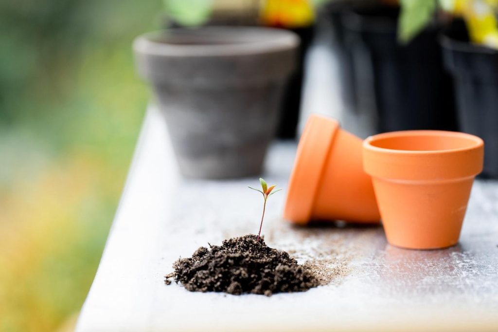 Choisir son terreau pour jardin : guide pratique