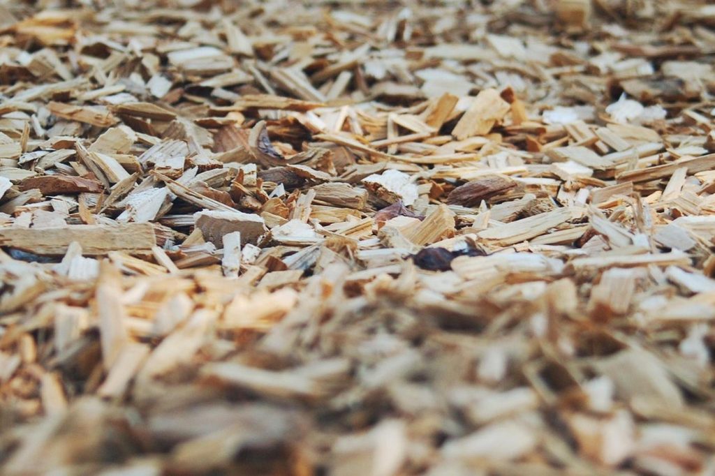 Guide des différents types de mulchs pour votre potager