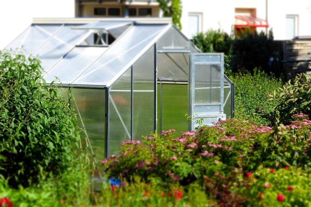 Kit de serre aluminium : avis pour bricoleur et jardinier