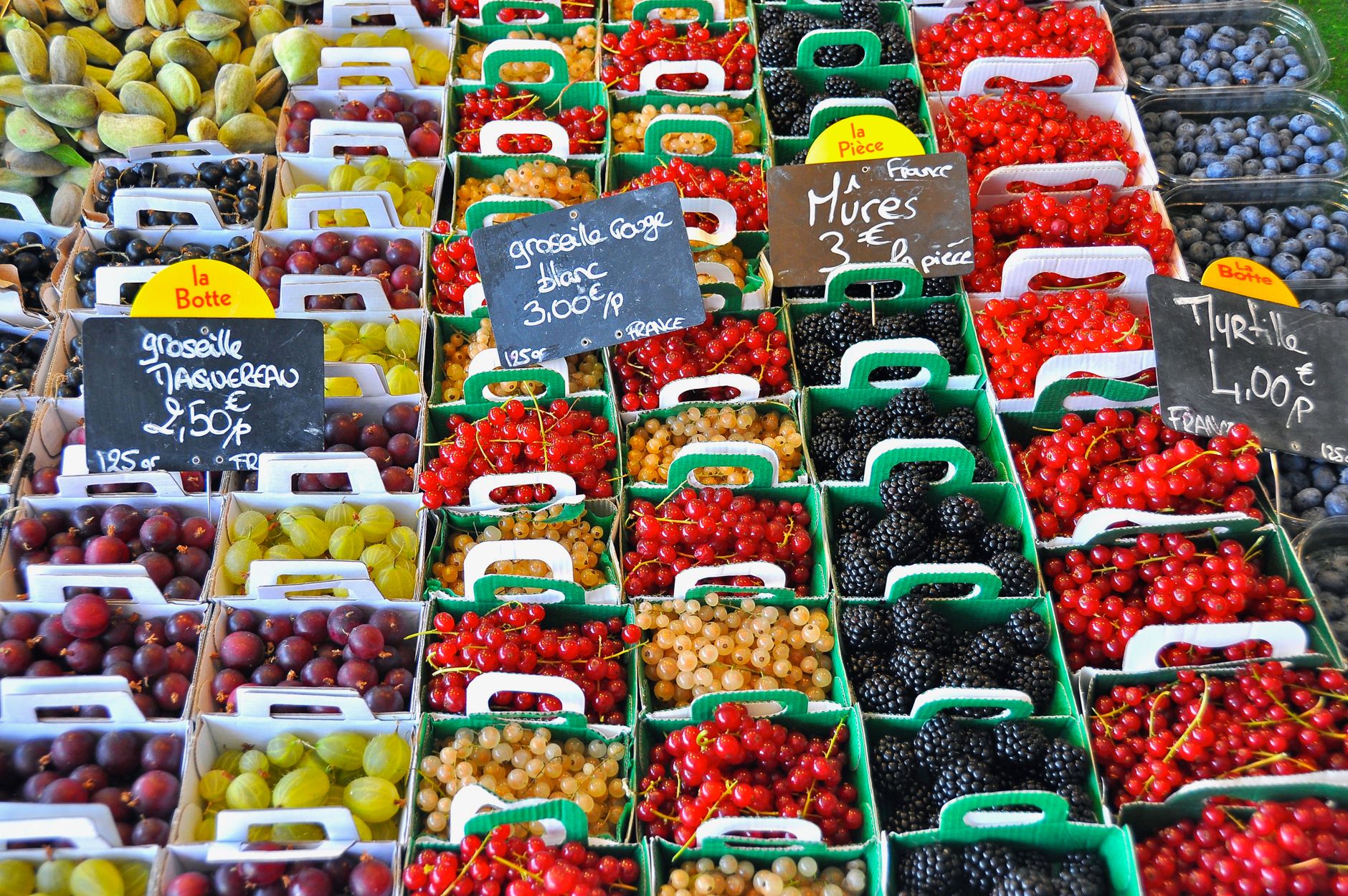 Les légumes à privilégier pour votre potager en septembre