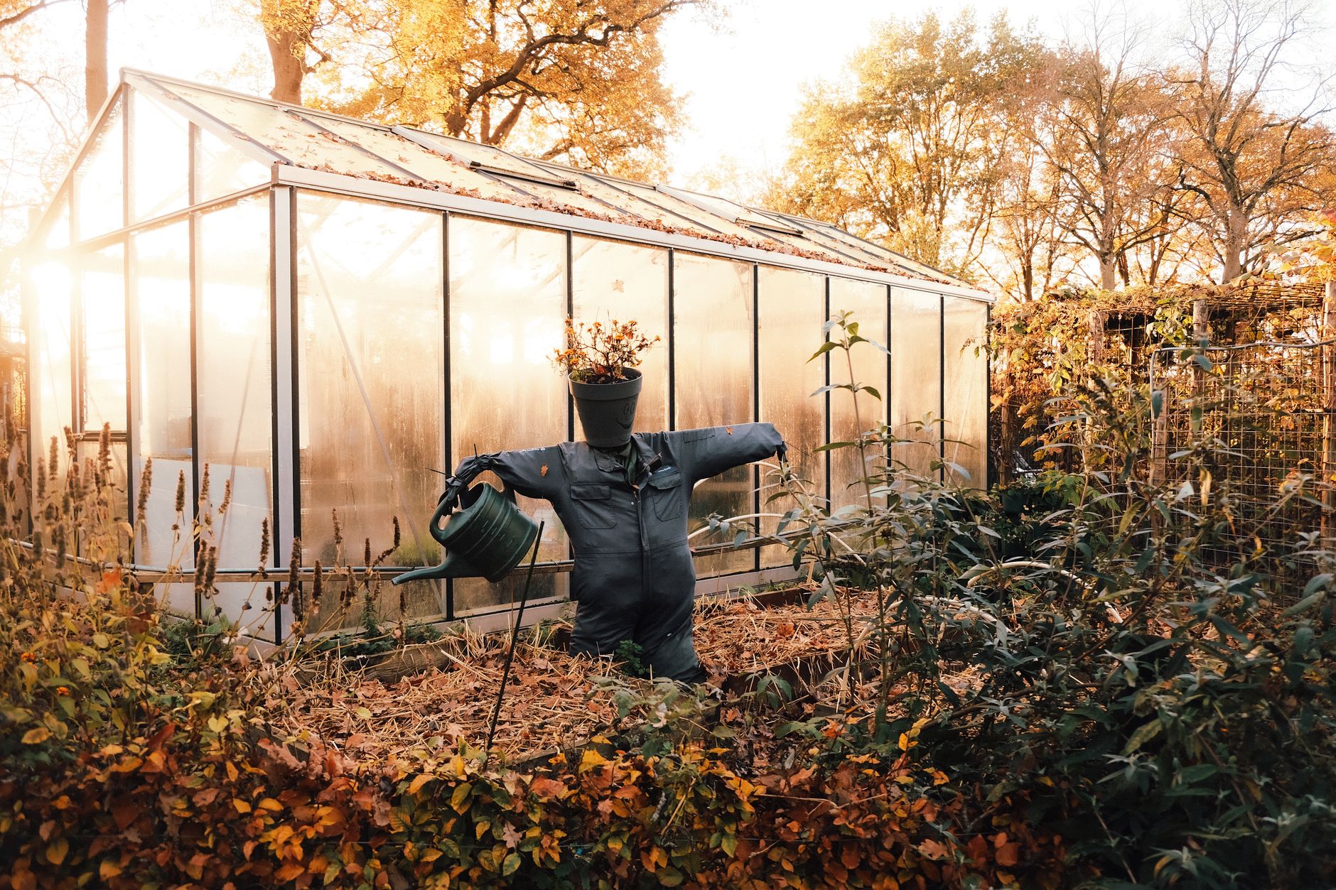 Dès l'automne, optimisez votre potager pour un sol fertile
