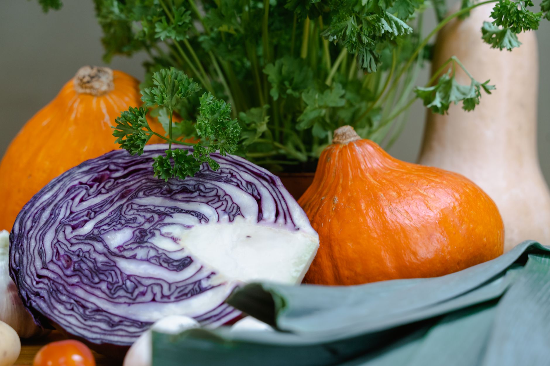 Quels légumes planter cet hiver pour un potager productif ?