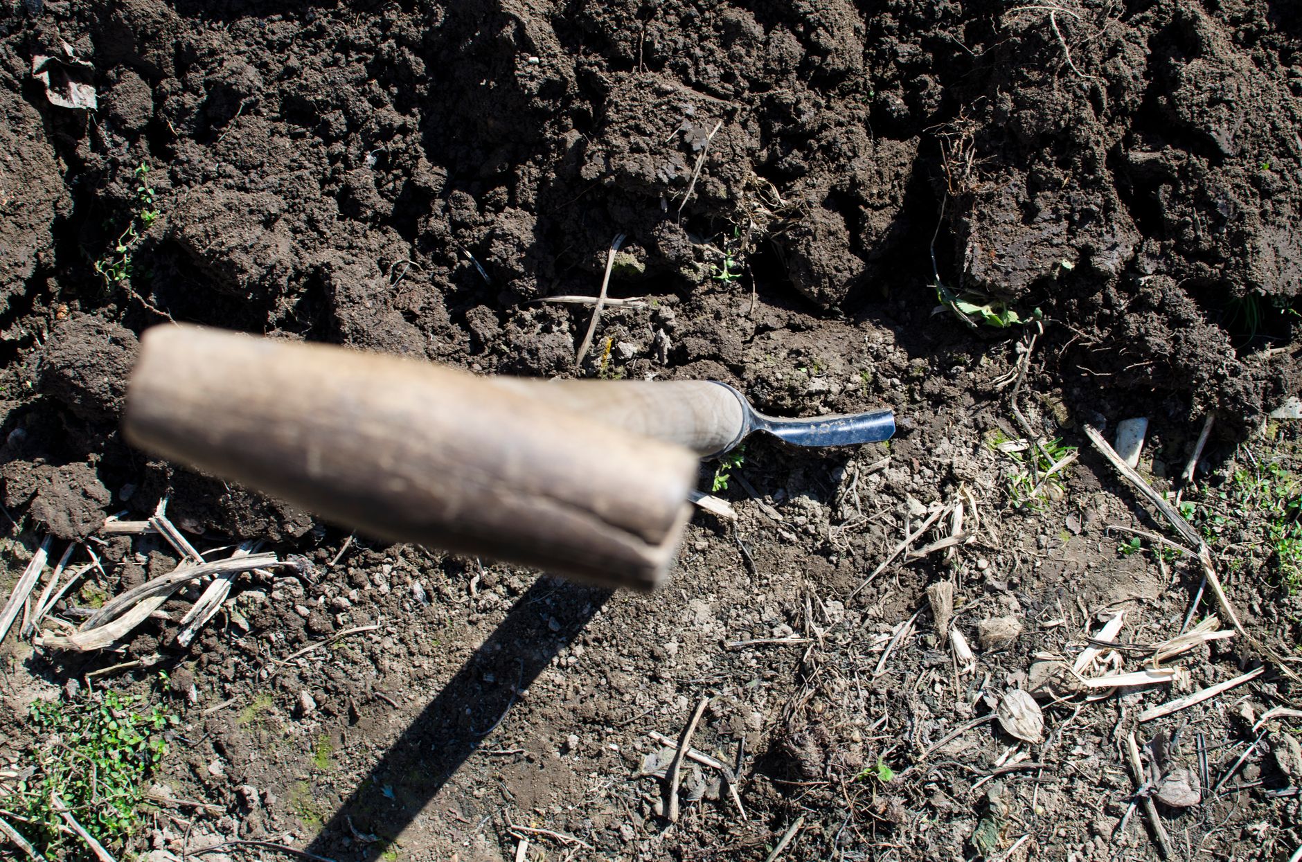 Les 5 outils indispensables pour réussir votre petit jardin en 2026