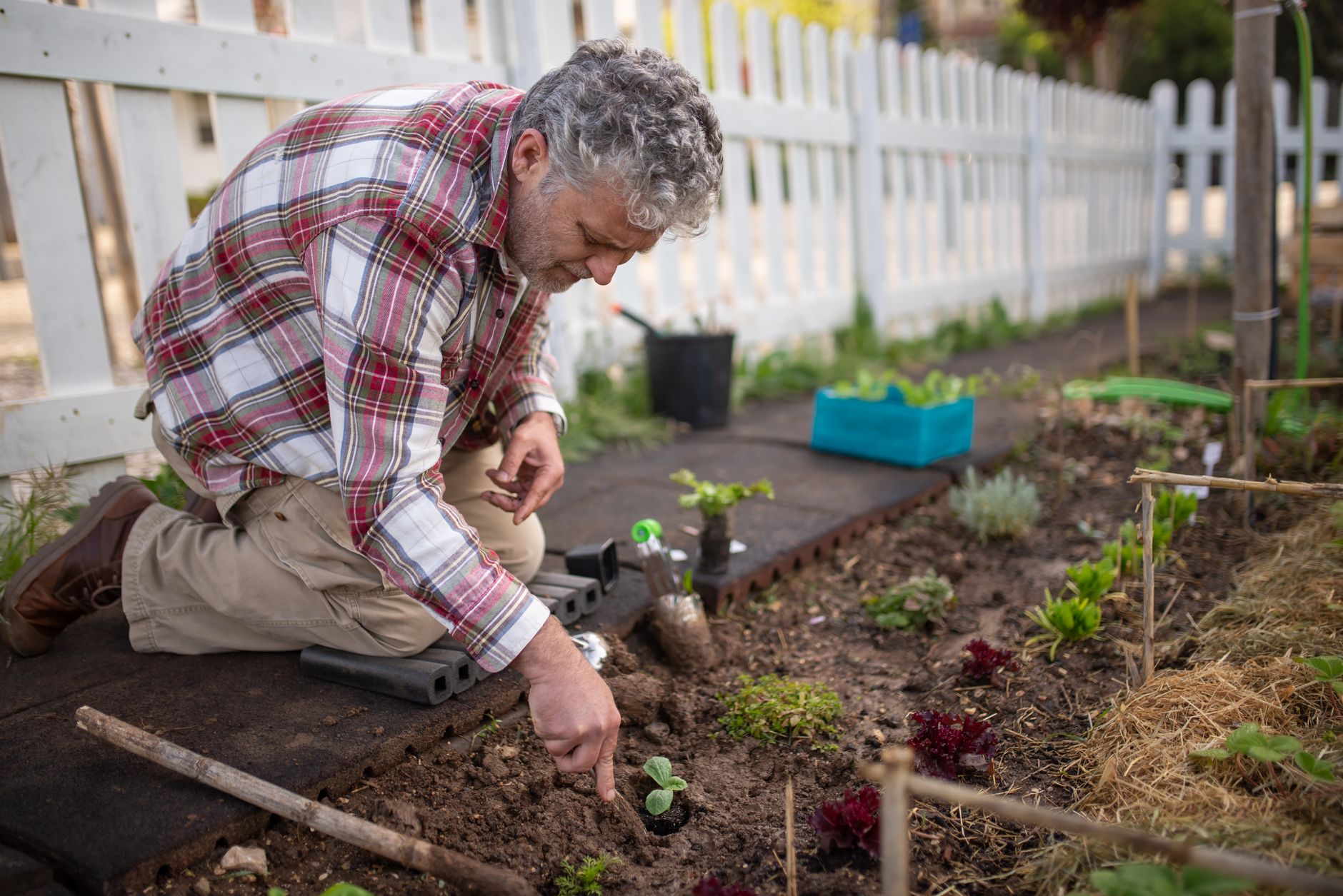 Créer un potager en carré : la méthode pour un jardinage réussi