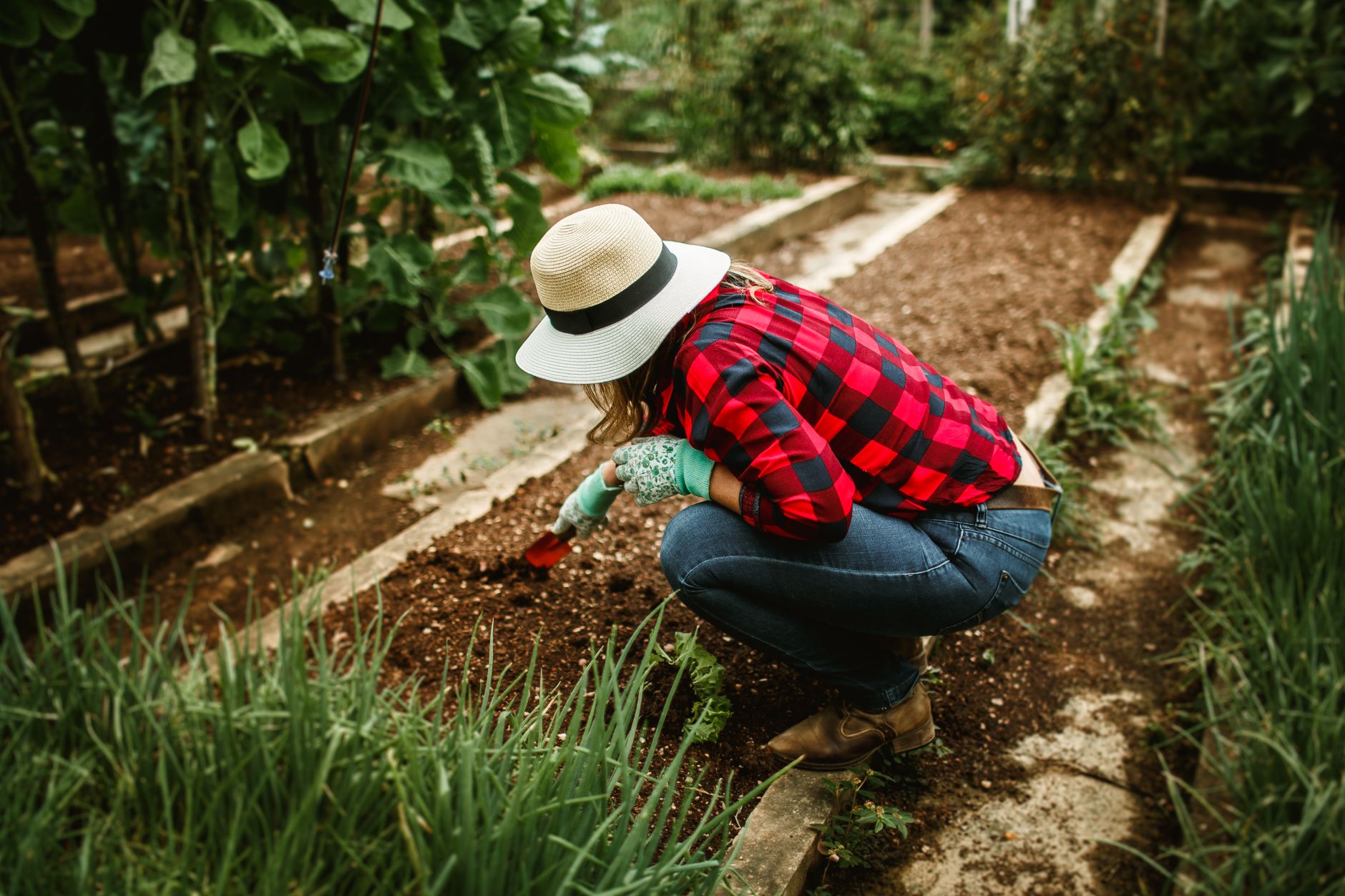 Pas de jardin ? Voici comment cultiver vos légumes bio chez vous !