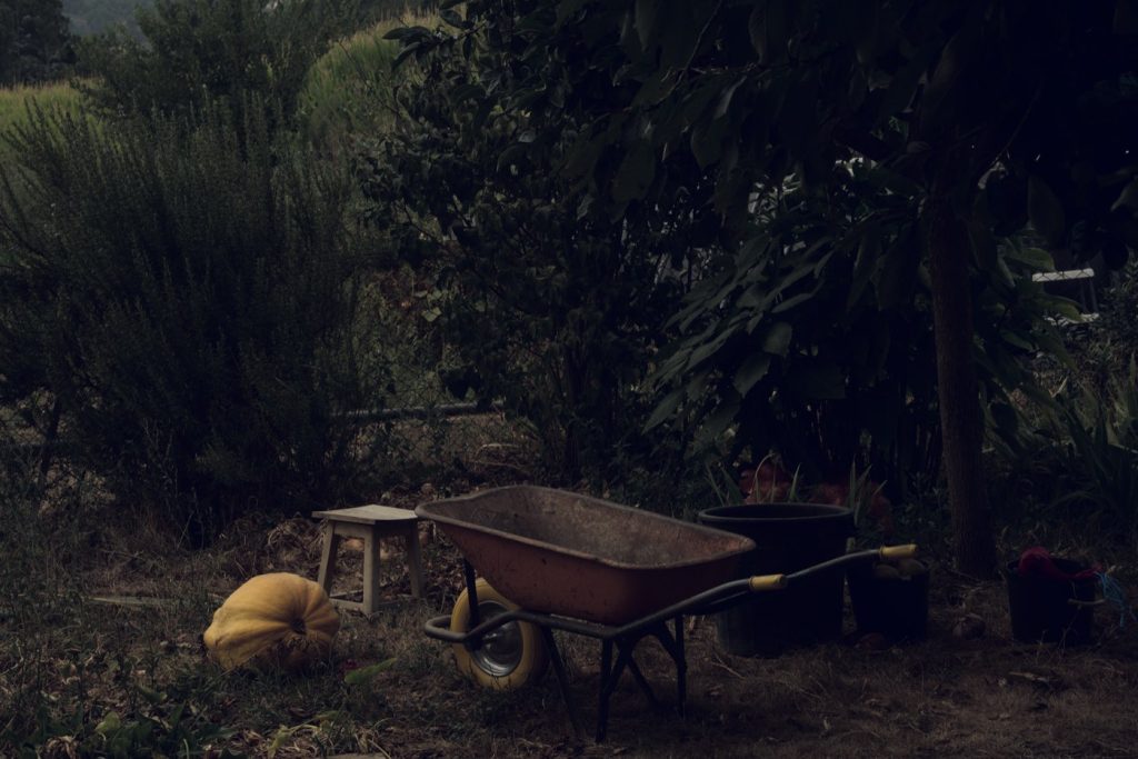 Fumier de cheval au potager : quand et comment l&rsquo;épandre