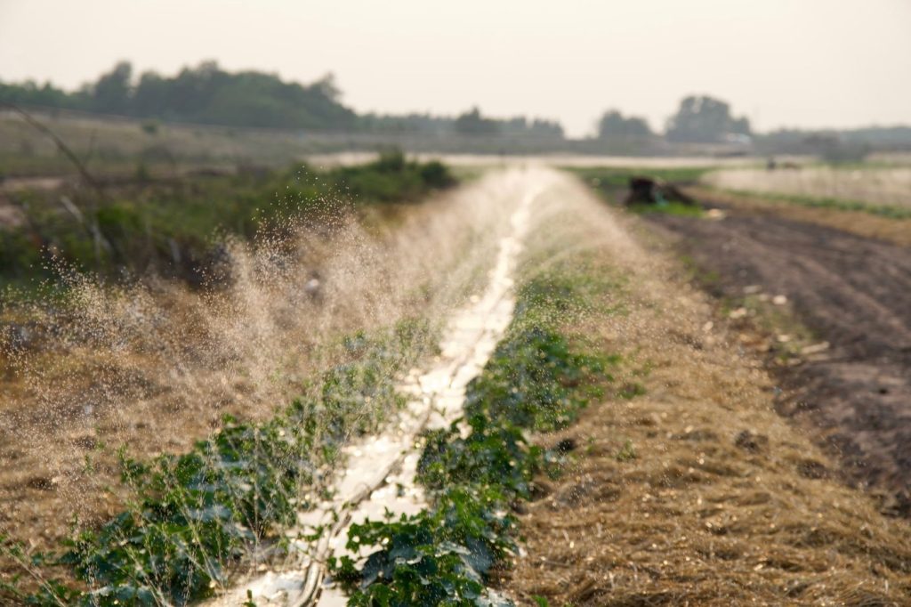 Gardena ou Netafim : quel système d'irrigation pour petit verger