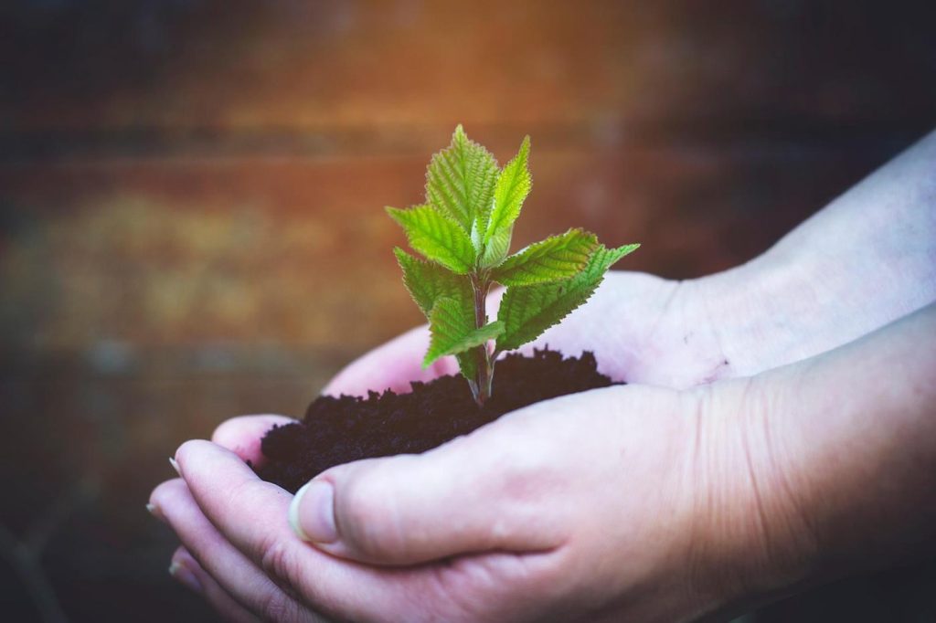 Les gestes à adopter pour vos plantations en septembre