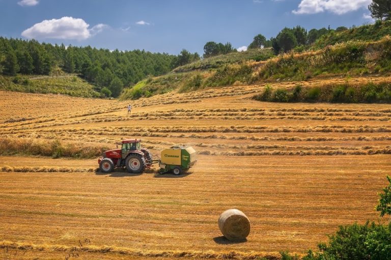 Comparatif isolants biosourcés : paille, chanvre, laine de bois