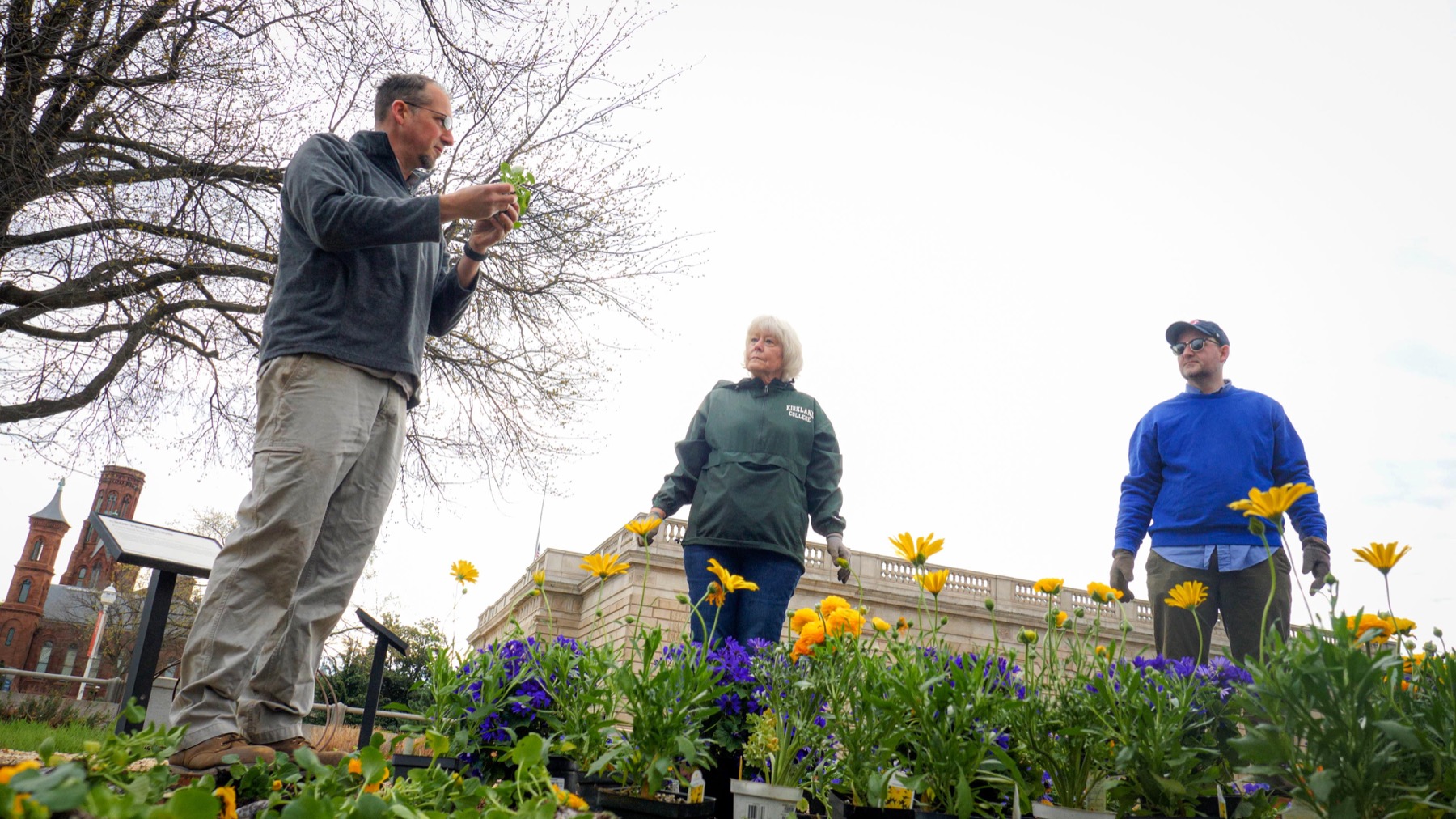 bénévoles plantant à mains nues dans un jardin communautaire, sans gants, contact direct avec la terre