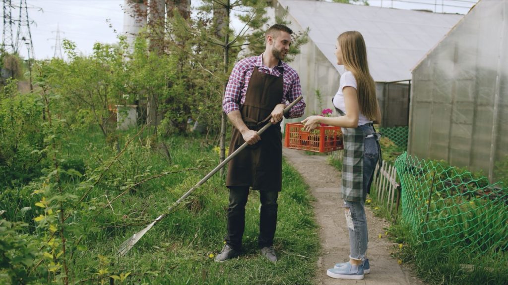Meilleurs outils à main pour potager et verger