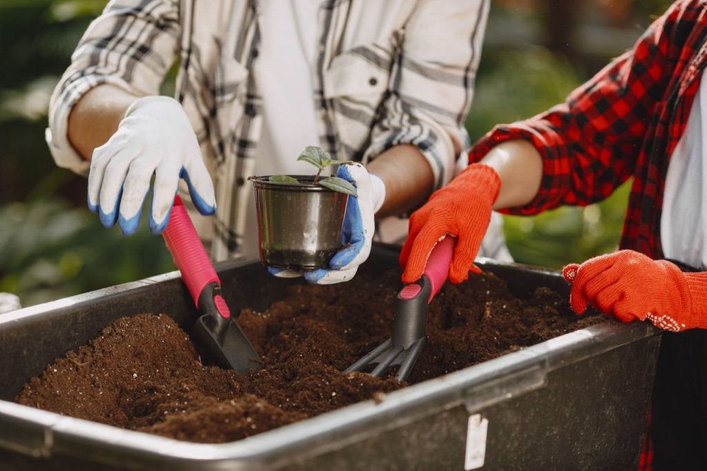 Motoculteur ou motobineuse : quelle différence pour un potager