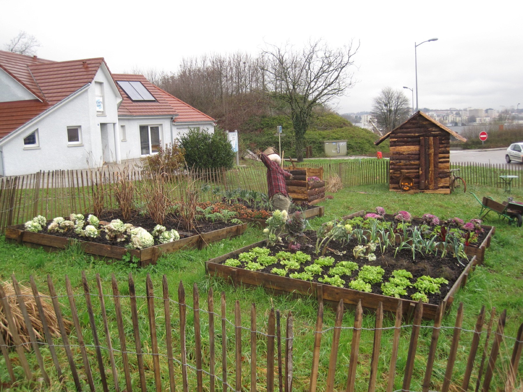 potager en carrés en bois clôturé par des piquets, avec des légumes plantés en rangs bien distincts