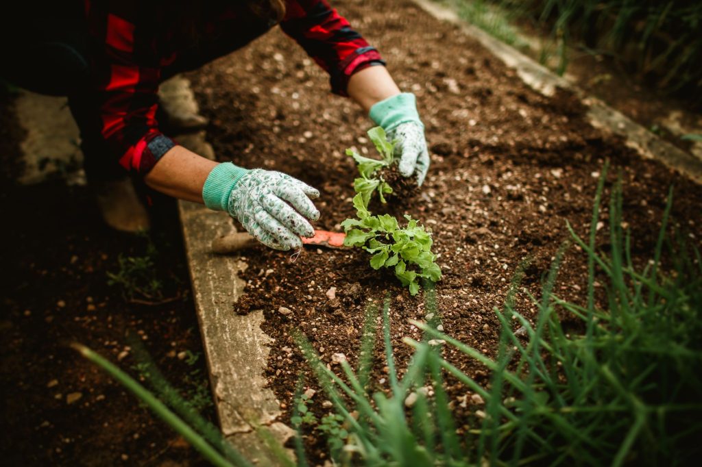Comment éviter les échecs courants en démarrant votre potager bio ?