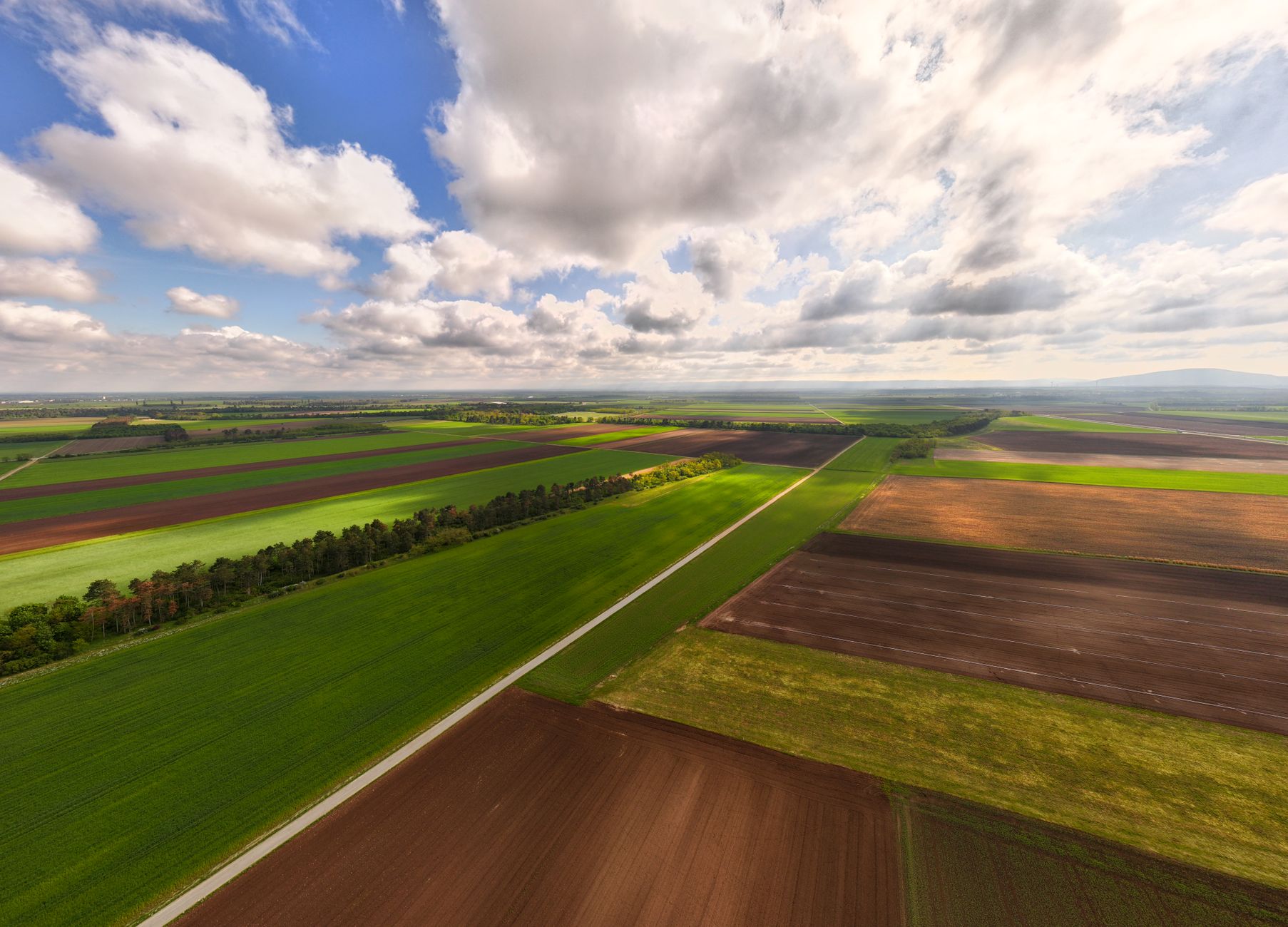 Rotation des cultures sur petite parcelle maraîchère
