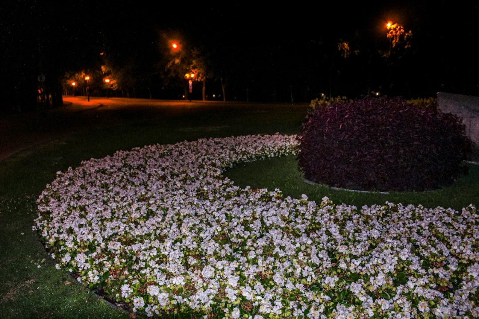 borne d'éclairage solaire posée au bord d'un massif de fleurs