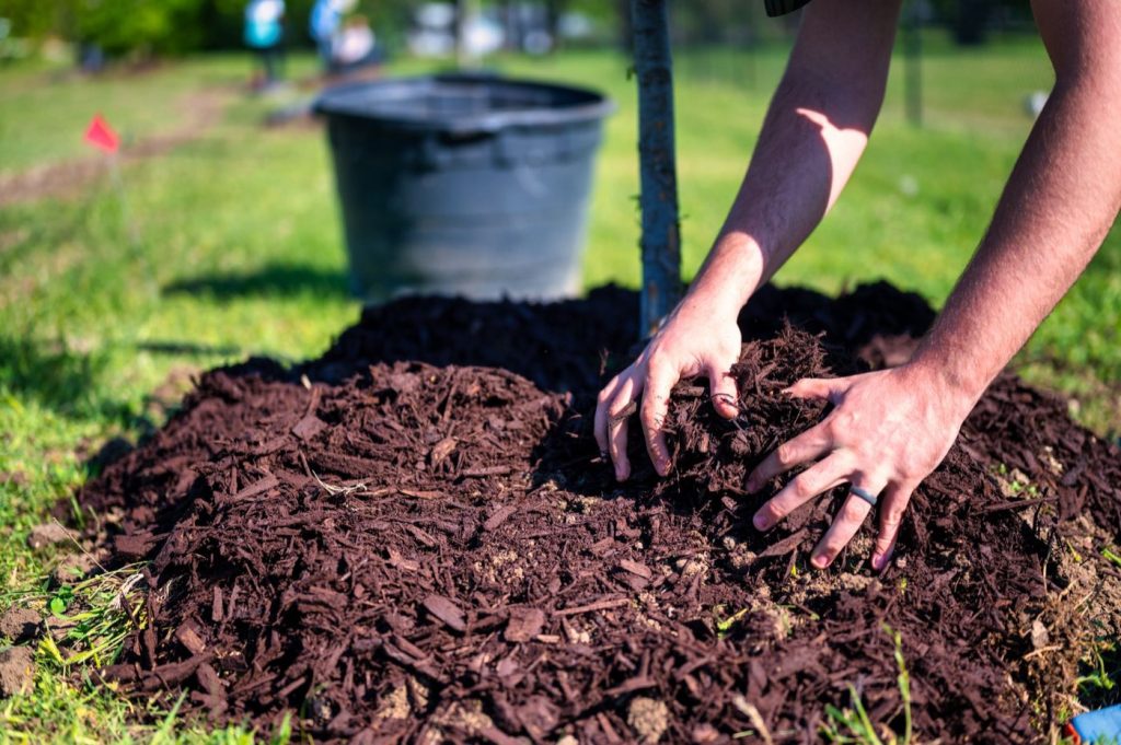 Broyeur végétaux électrique pour petit potager : guide d&rsquo;achat