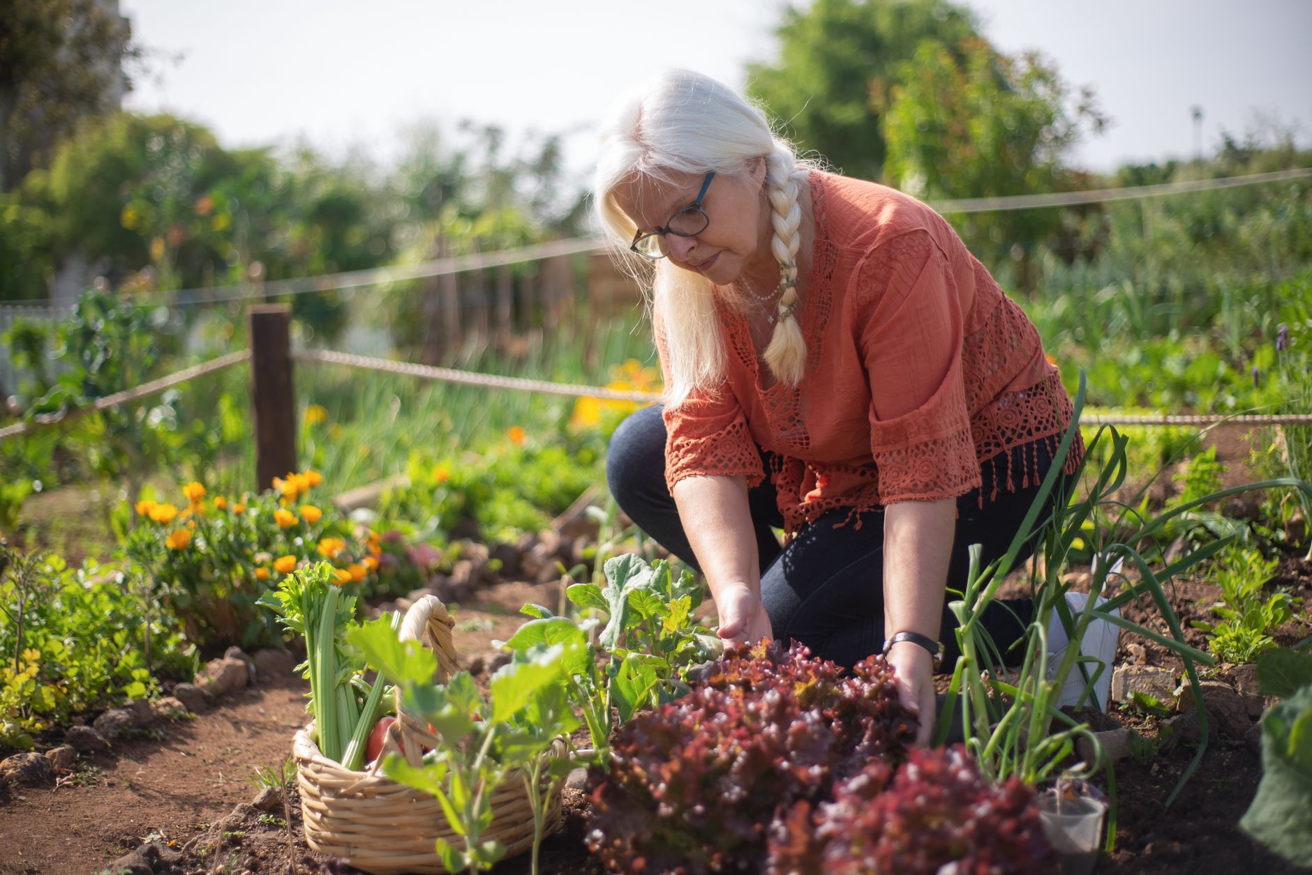 Comment choisir la serre idéale pour votre jardin ?