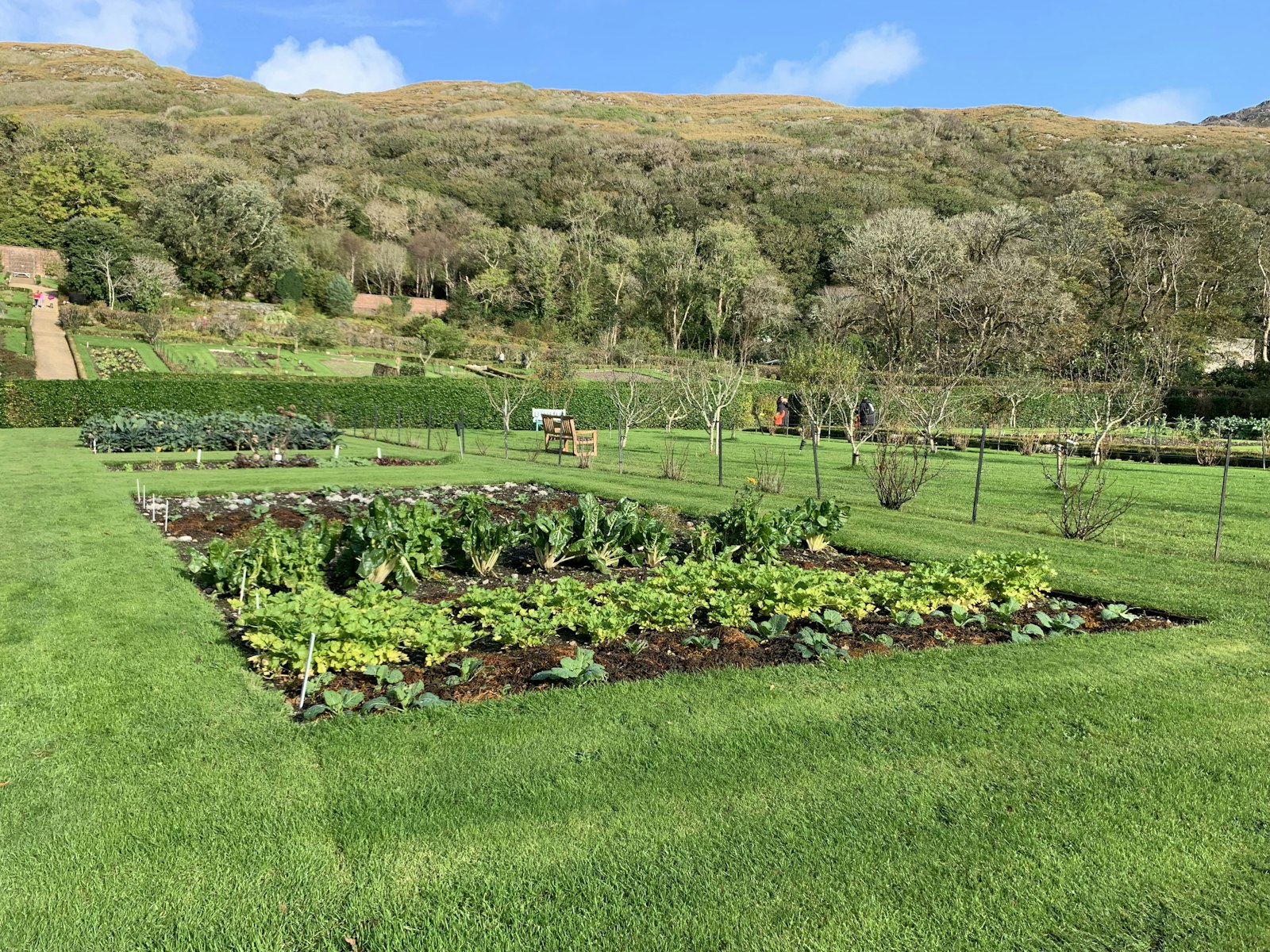 Votre jardin souffre-t-il d'un sol calcaire ? Voici comment le détecter et l'amender !