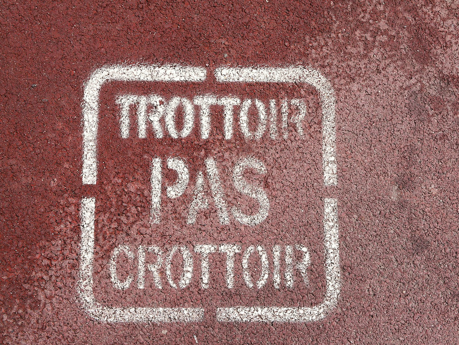 Dès maintenant, vos semis sous la pression de nouvelles restrictions