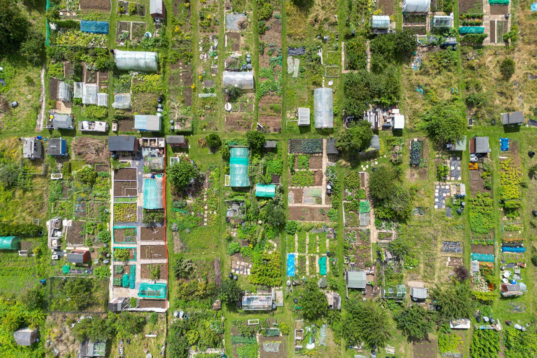Évitez ces erreurs pour réussir votre potager en permaculture
