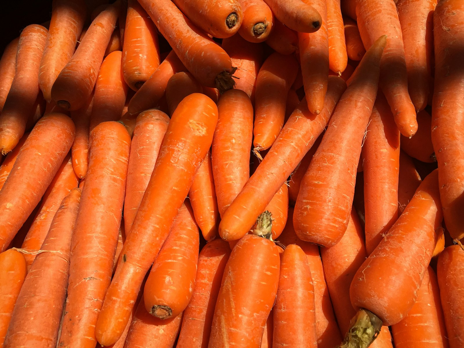 Comment garantir des carottes croquantes tout l'hiver ? Adoptez ces astuces de conservation !