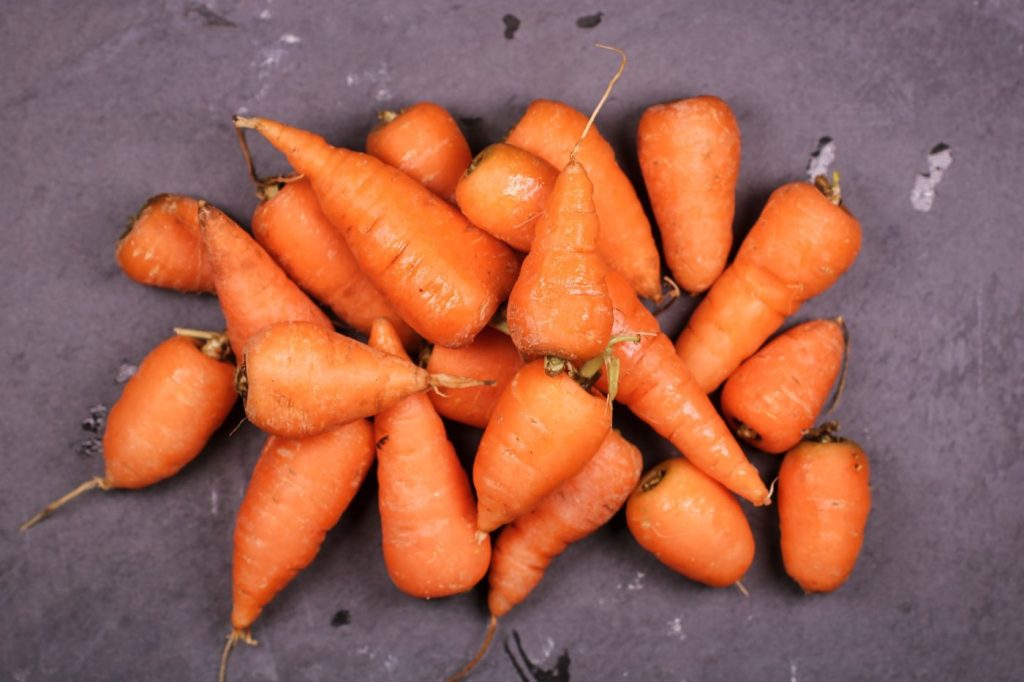 Engrais naturels pour le potager : lesquels et quand