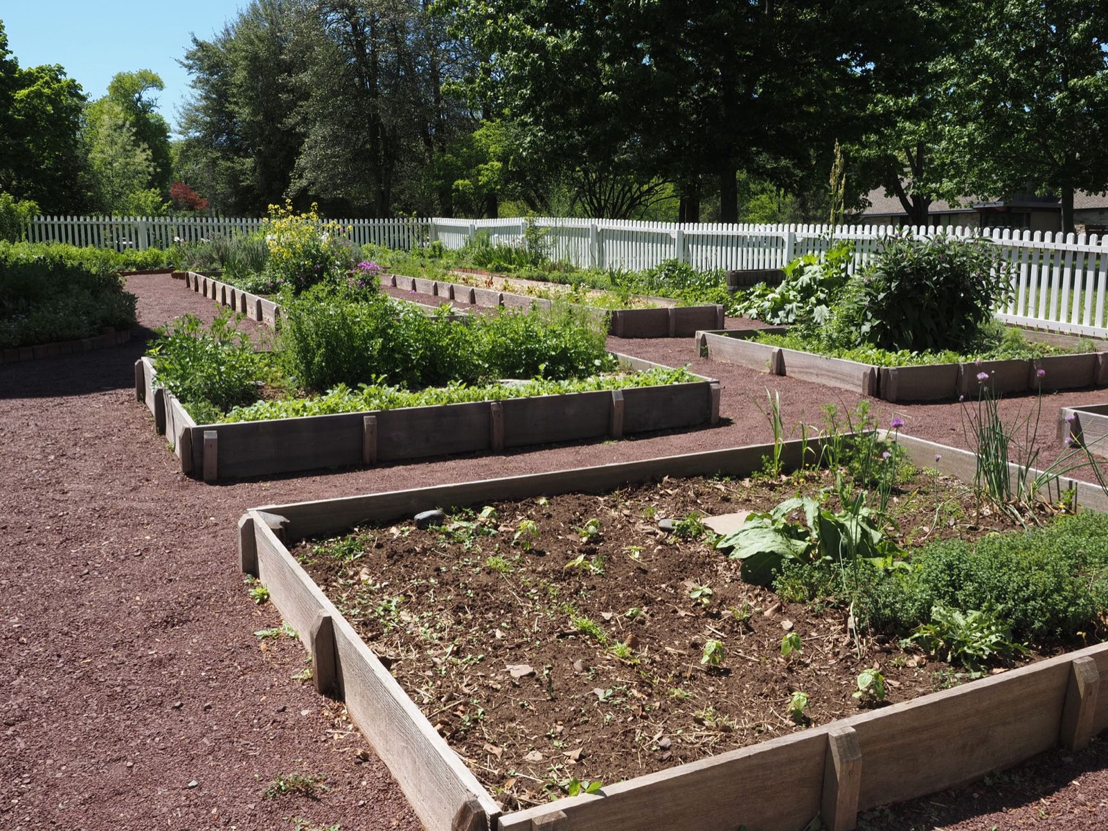 Carré potager en bois avec plaque décorative accrochée sur la bordure