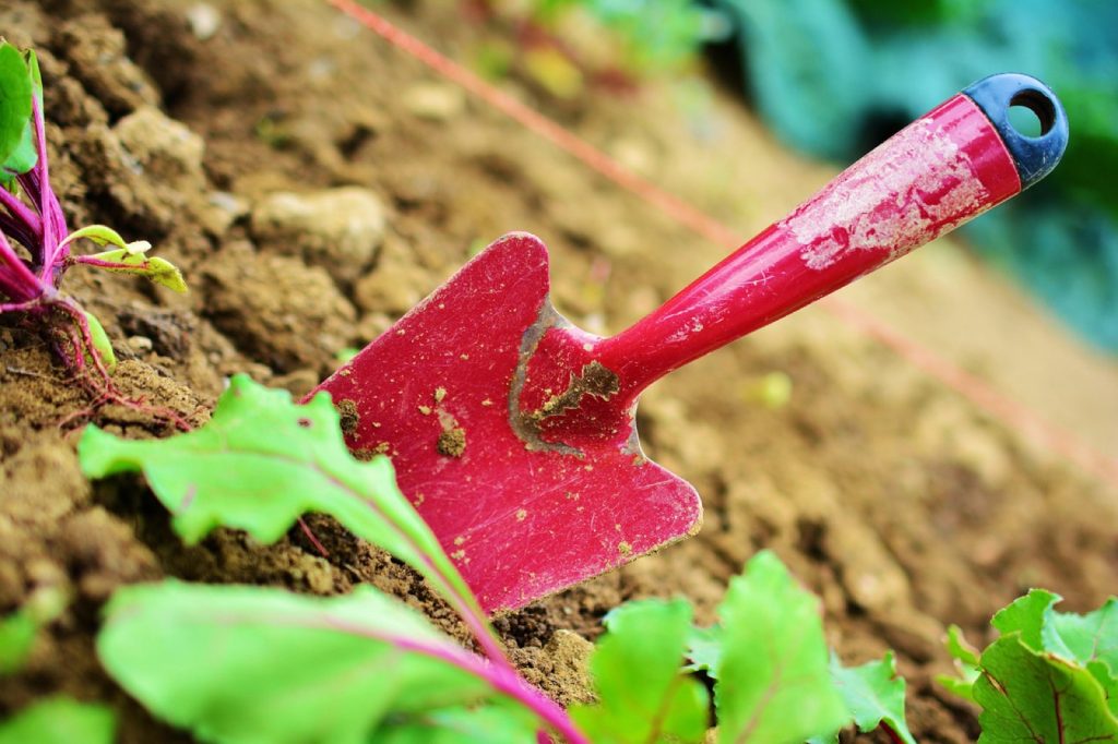 Préparer son sol et son arrosage avant de lancer son premier potager