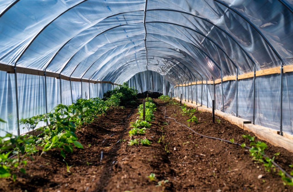 Programmateur d&rsquo;arrosage pour potager : comment le choisir