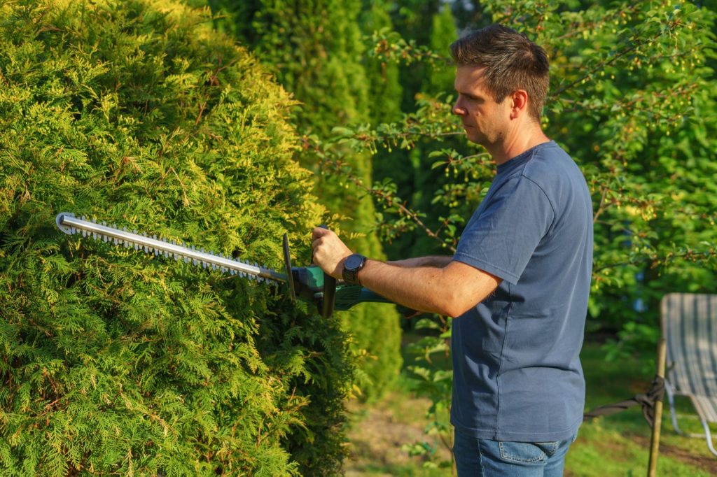 Scie d’élagage à batterie : bien la choisir pour son jardin
